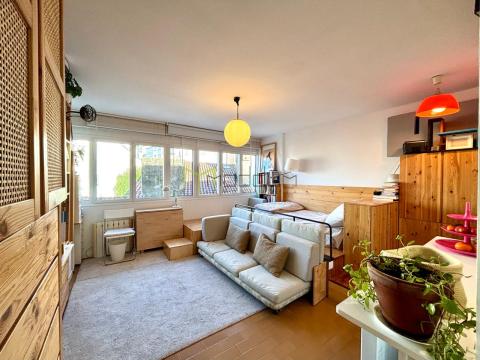 Acogedor estudio en Santiago